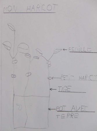 dossier_jardinerie_005.JPG